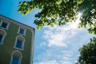 View of a green house facade in Haidhausen. The sun shines through a green tree in summer.